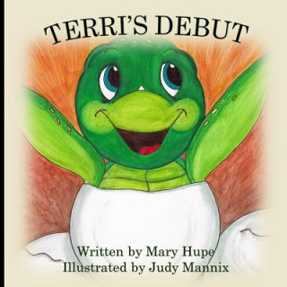 Knjiga Terri's Debut Judy Mannix