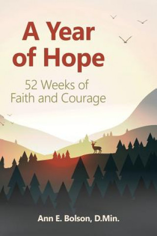 Kniha A Year of Hope: 52 Weeks of Faith and Courage Ann E Bolson D Min