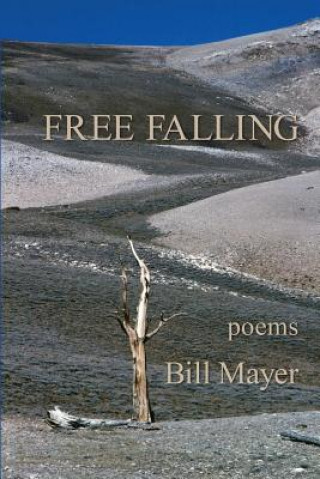 Book Free Falling Bill Mayer