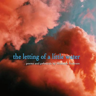 Kniha The Letting of a Little Water Shakirah Peterson