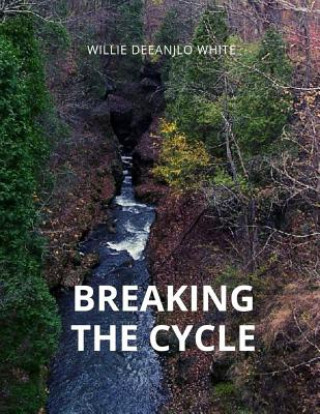 Knjiga Breaking the Cycle Willie Deeanjlo White
