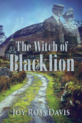 Book The Witch of Blacklion Joy Ross Davis