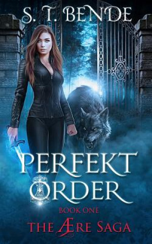 Kniha Perfekt Order S T Bende