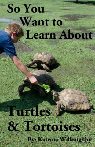 Książka So You Want to Learn About Turtles & Tortoises Katrina Willoughby