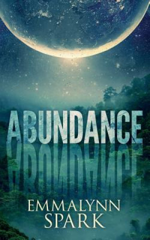 Knjiga Abundance Emmalynn Spark