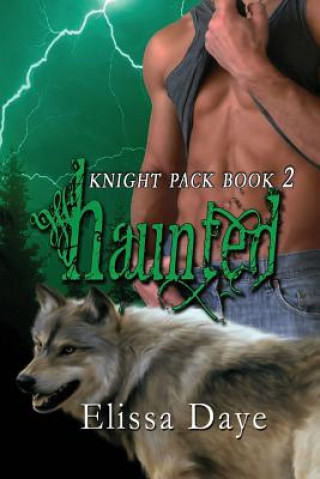 Knjiga Haunted Elissa Daye
