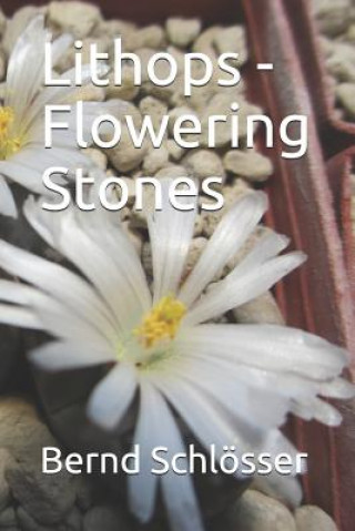 Kniha Lithops - Flowering Stones Bernd Schlosser