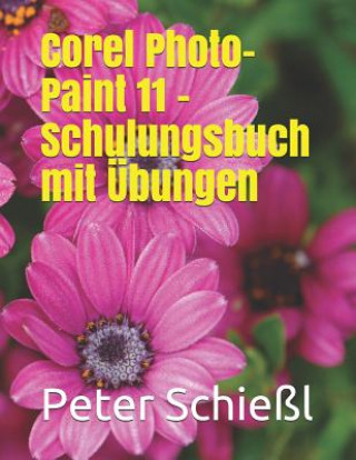 Carte Corel Photo-Paint 11 - Schulungsbuch mit UEbungen Peter Schiel