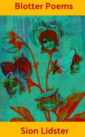 Boek Blotter Poems Sion Lidster