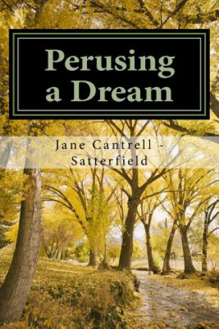 Knjiga Perusing a Dream Jane Cantrell Satterfield
