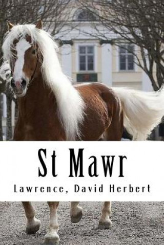 Książka St Mawr Lawrence David Herbert
