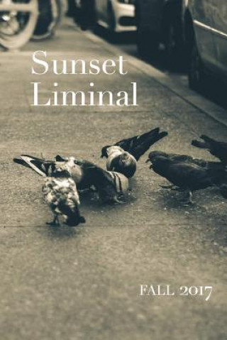 Knjiga Sunset Liminal vol. 5: Fall 2017 Greg Scheiber