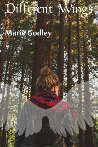 Knjiga Different Wings Marie Godley