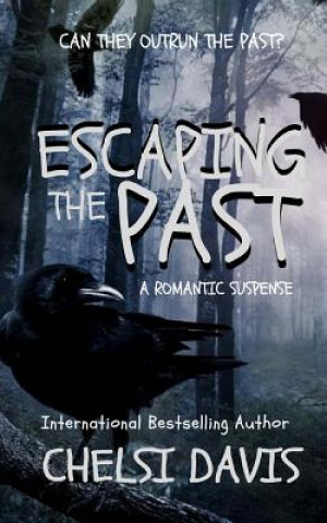 Knjiga Escaping The Past Crazy Ink