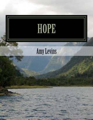 Kniha Hope Amy Levins