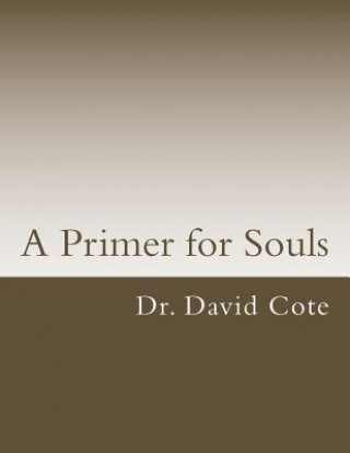 Knjiga A Primer for Souls David D Cote