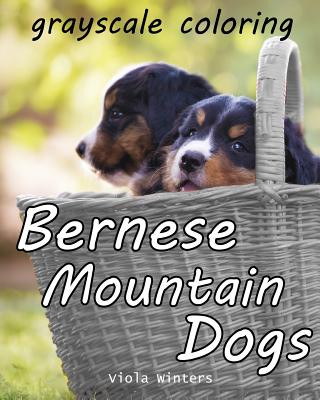 Könyv Bernese Mountain Dogs: Grayscale Coloring Viola Winters