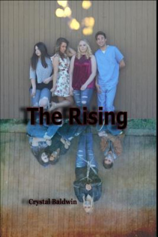 Buch Rising Crystal Baldwin