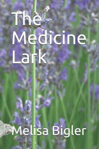 Buch The Medicine Lark Melisa Bigler