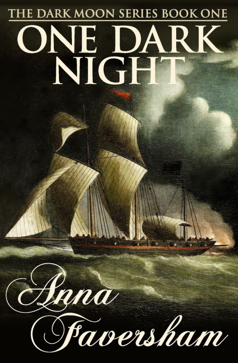 Kniha One Dark Night Anna Faversham