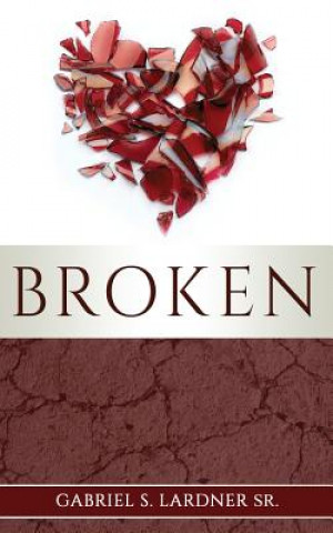 Knjiga Broken Gabriel S Lardner Sr