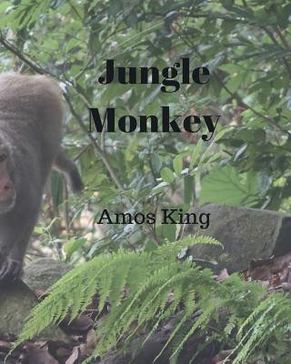 Knjiga Jungle Monkey Amos King