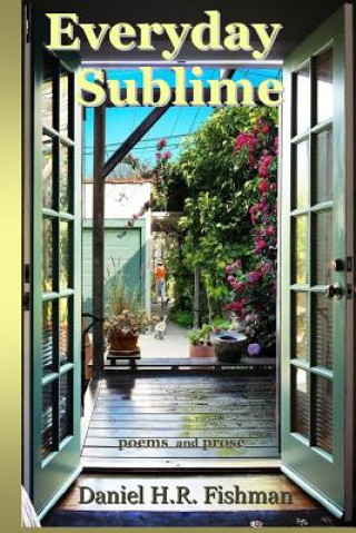 Knjiga Everyday Sublime Daniel H R Fishman