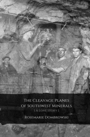 Kniha The Cleavage Planes of Southwest Minerals [A Love Story] Rosemarie Dombrowski