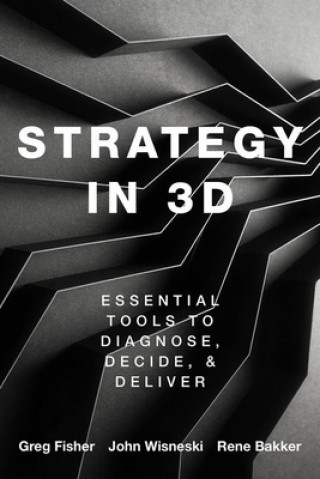 Kniha Strategy in 3D John Wisneski