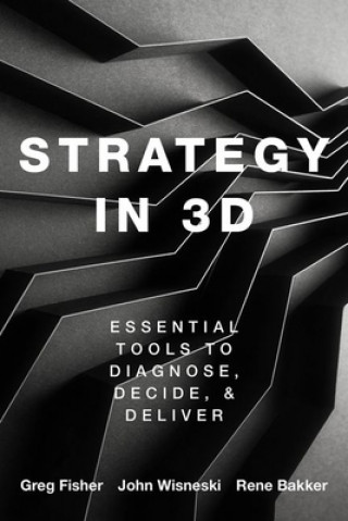 Könyv Strategy in 3D John Wisneski