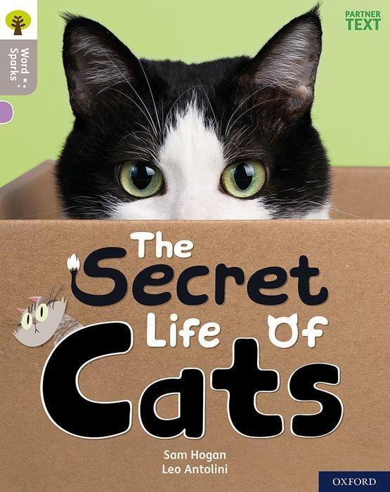 Könyv Oxford Reading Tree Word Sparks: Level 1: The Secret Life of Cats 