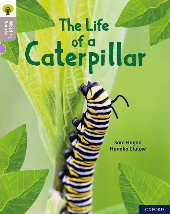 Книга Oxford Reading Tree Word Sparks: Level 1: The Life of a Caterpillar 