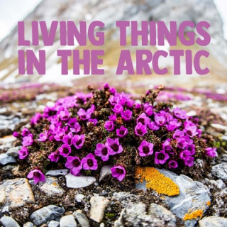 Knjiga Living Things in the Arctic Arvaaq Press