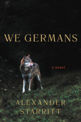 Kniha We Germans 