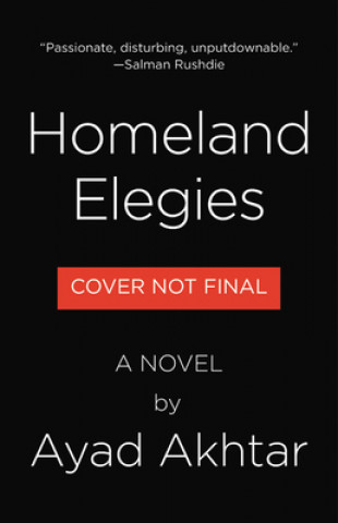 Carte Homeland Elegies : A Novel 