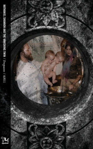 Livro Trespasses Nathaniel Shanno And the Vanishing Twin