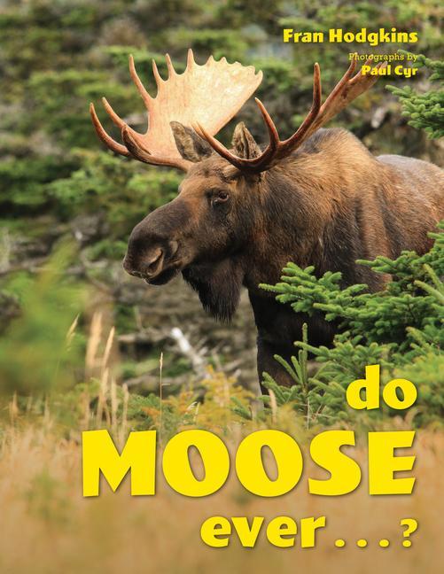 Knjiga Do Moose Ever . . .? Hodgkins