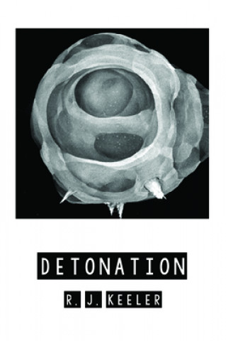 Knjiga Detonation R. J. Keeler