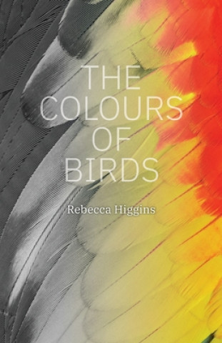 Knjiga Colours of Birds REBECCA HIGGINS