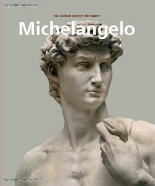 Книга Michelangelo 