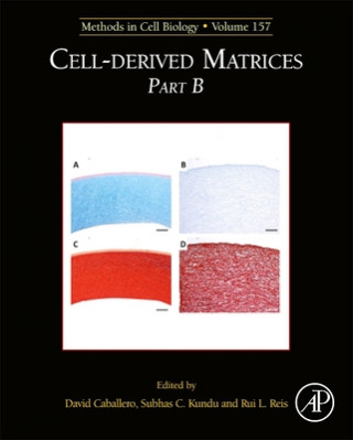 Knjiga Cell-Derived Matrices Part B David Caballero