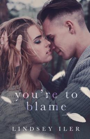 Book You're to Blame Lindsey M Iler
