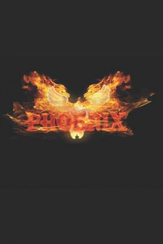 Buch Phoenix John David Scheer