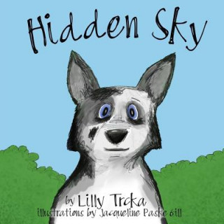 Boek Hidden Sky Lilly Trcka