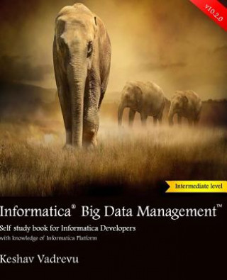 Knjiga Informatica Big Data Management: Self study book for Informatica Developers Keshav Vadrevu