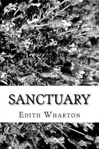 Kniha Sanctuary Edith Wharton
