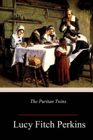 Kniha The Puritan Twins Lucy Fitch Perkins