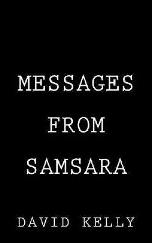 Kniha Messages from Samsara David Kelly