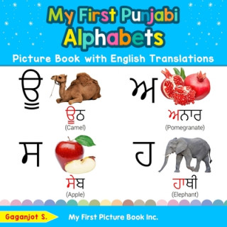 Buch My First Punjabi Alphabets Picture Book with English Translations 