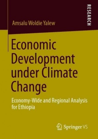 Książka Economic Development under Climate Change Amsalu Woldie Yalew